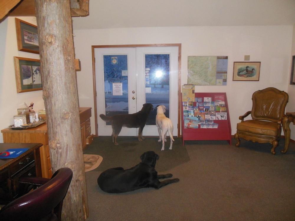 Clark Fork Lodge Luaran gambar