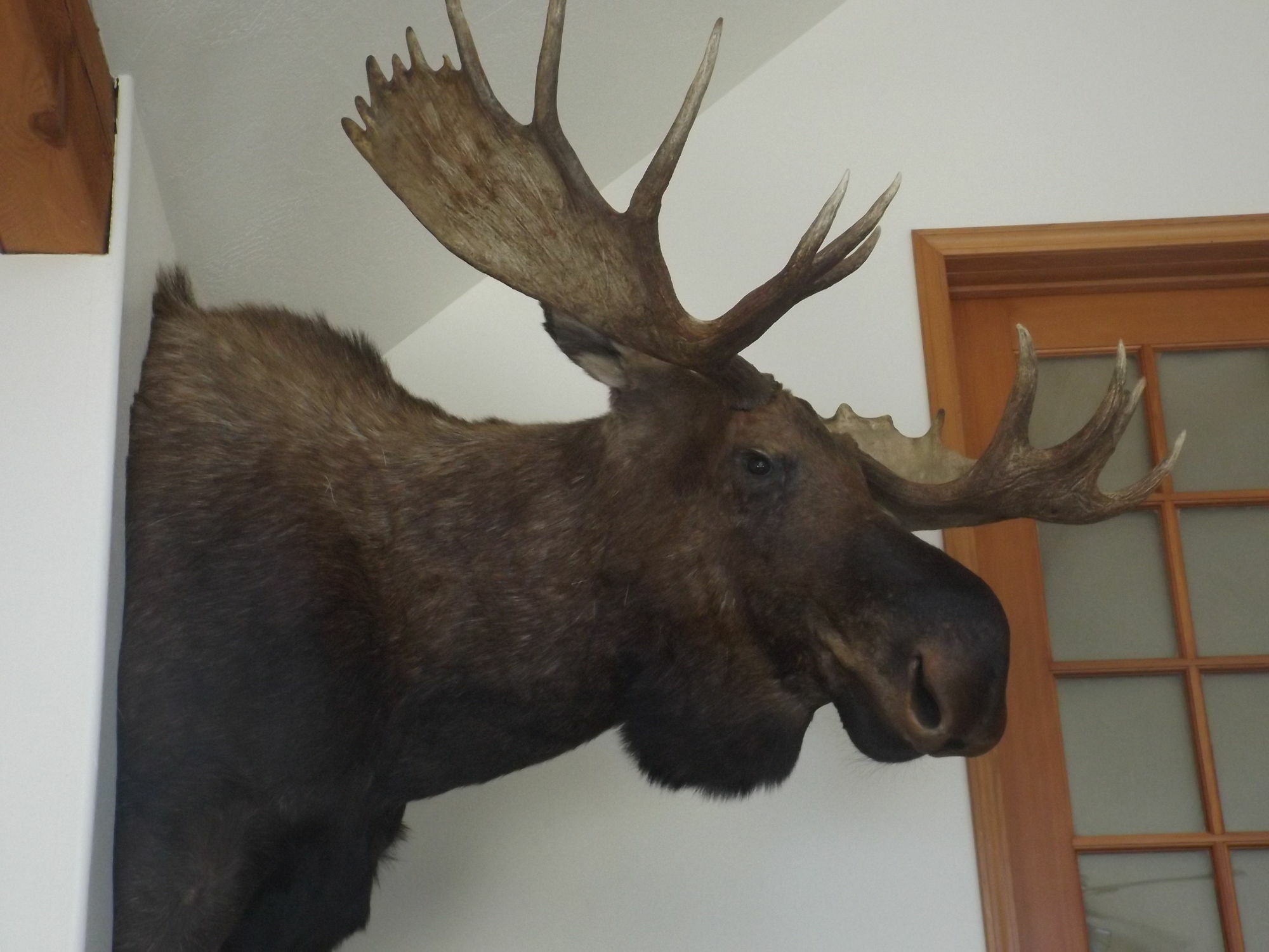 Clark Fork Lodge Luaran gambar